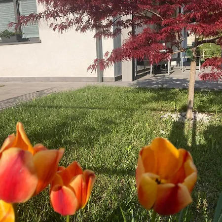 Appartement Meraki Dolomiti