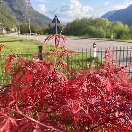 Apartment Meraki Dolomiti