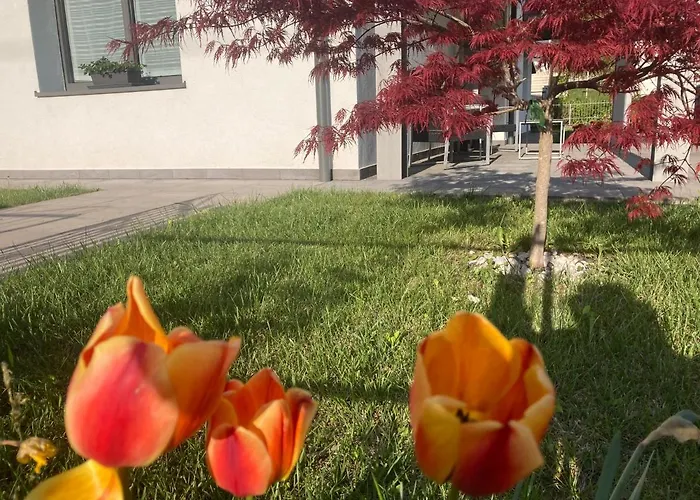 Appartement Meraki Dolomiti