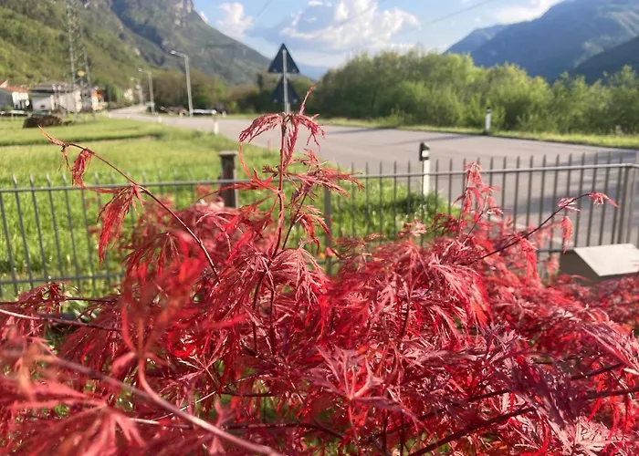 Lejlighed Meraki Dolomiti
